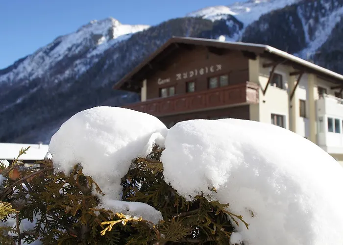 Gasthuis Garni Rudigier 3*