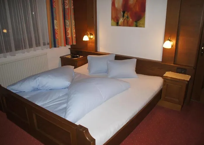 Gasthuis Garni Rudigier 3*